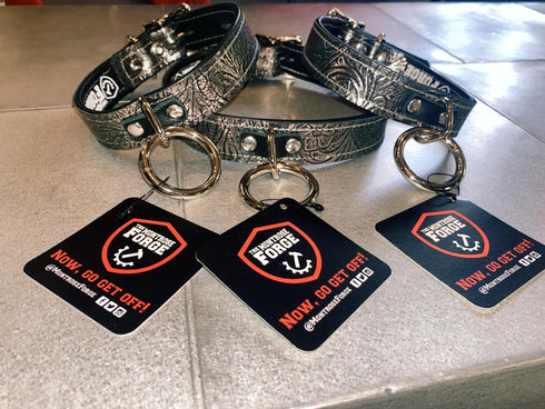 Locking Buckle Collar - Metallic